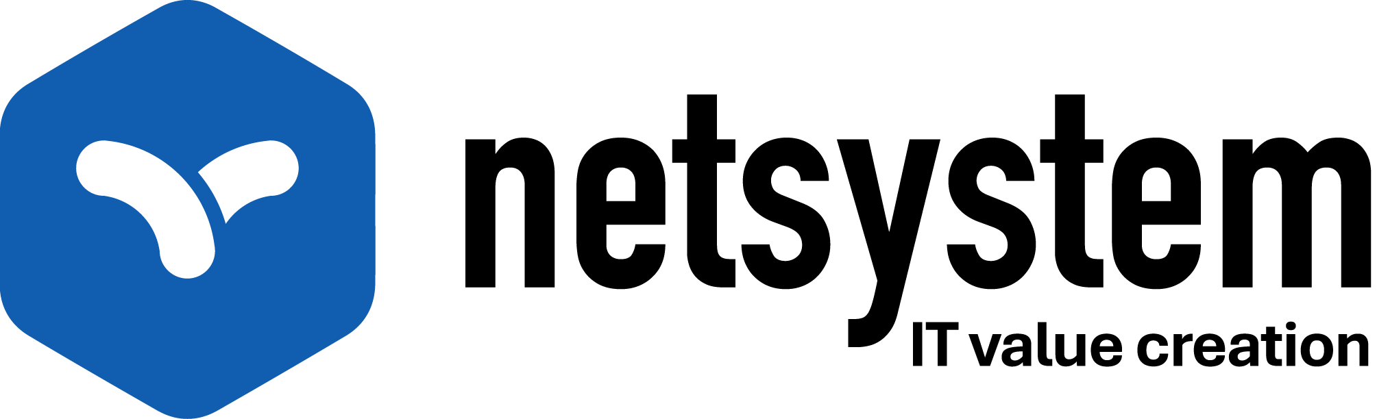 Netsystem